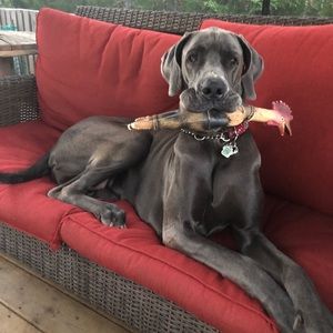 Meet your Posher, Christine